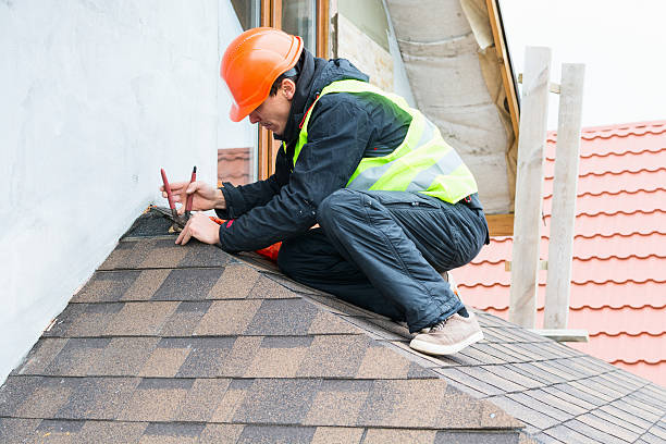 Best Storm Damage Roof Repair  in Loxley, AL