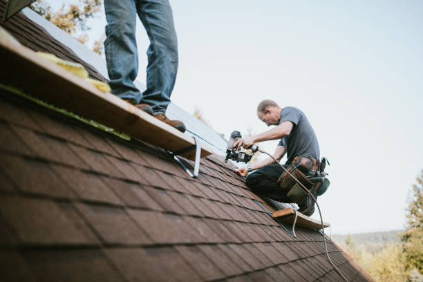 Quick and Trustworthy Emergency Roof Repair Services in Loxley, AL