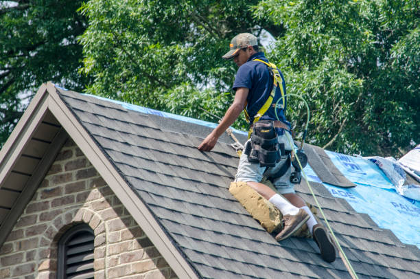 Best Roof Gutter Cleaning  in Loxley, AL