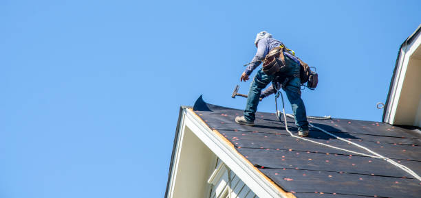 Best Gutter Installation and Roofing  in Loxley, AL